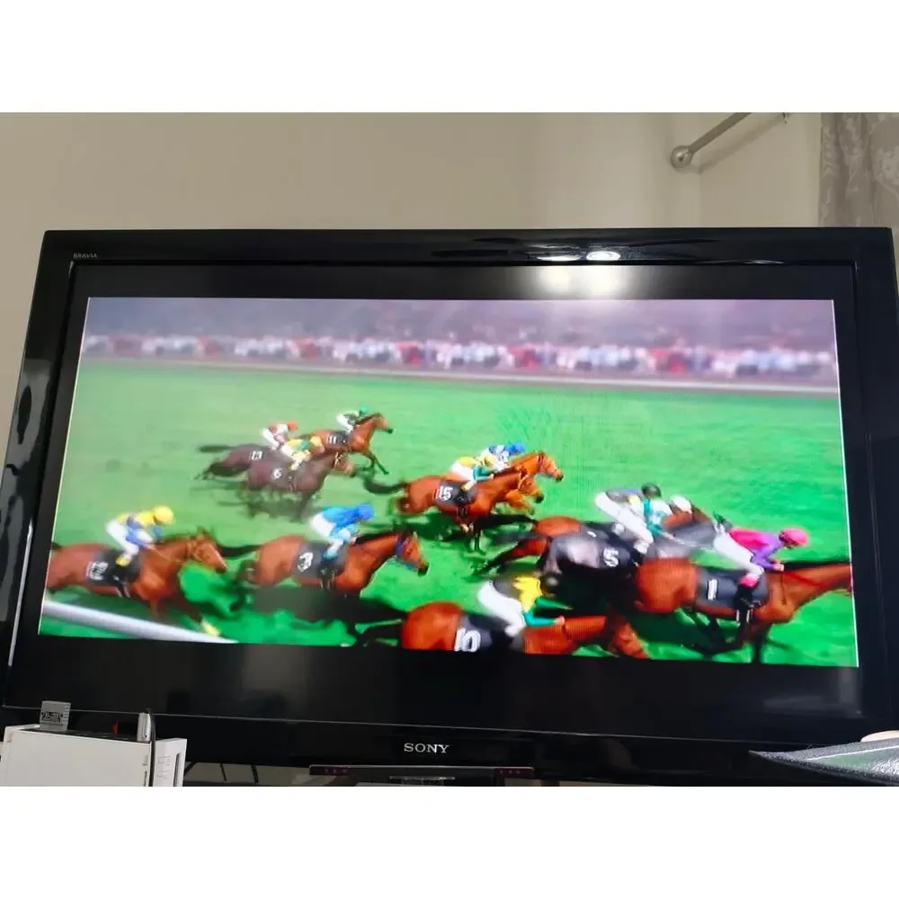 Champion Jockey G1 & Gallop Racer (Wii) Disc Tested